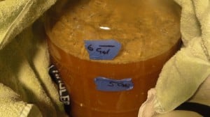 Fermentation